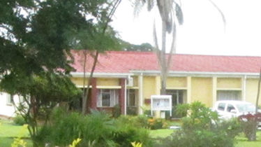 stands
