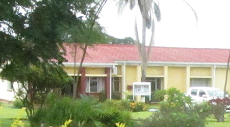 stands